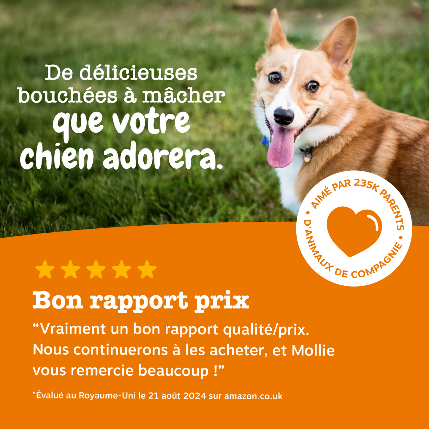 Allergy & Immunity Chews