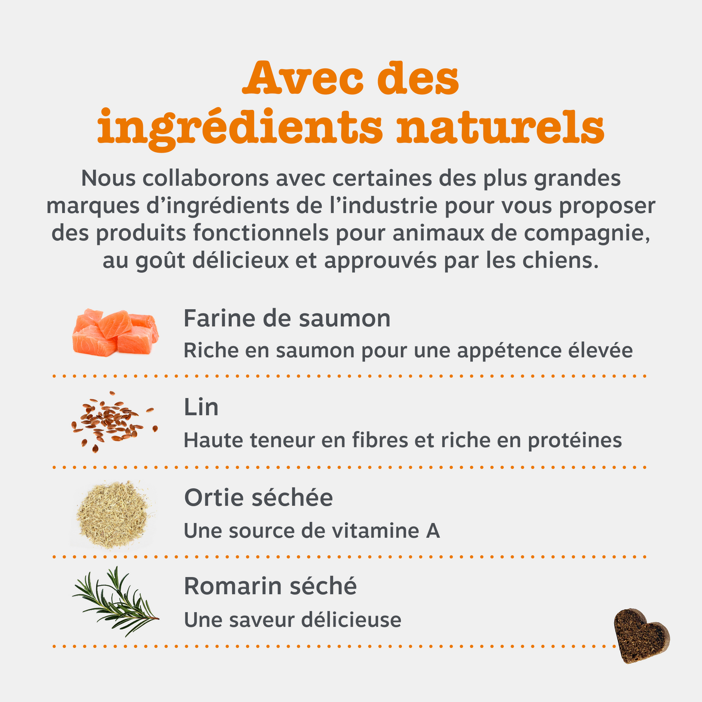 Allergy & Immunity Chews