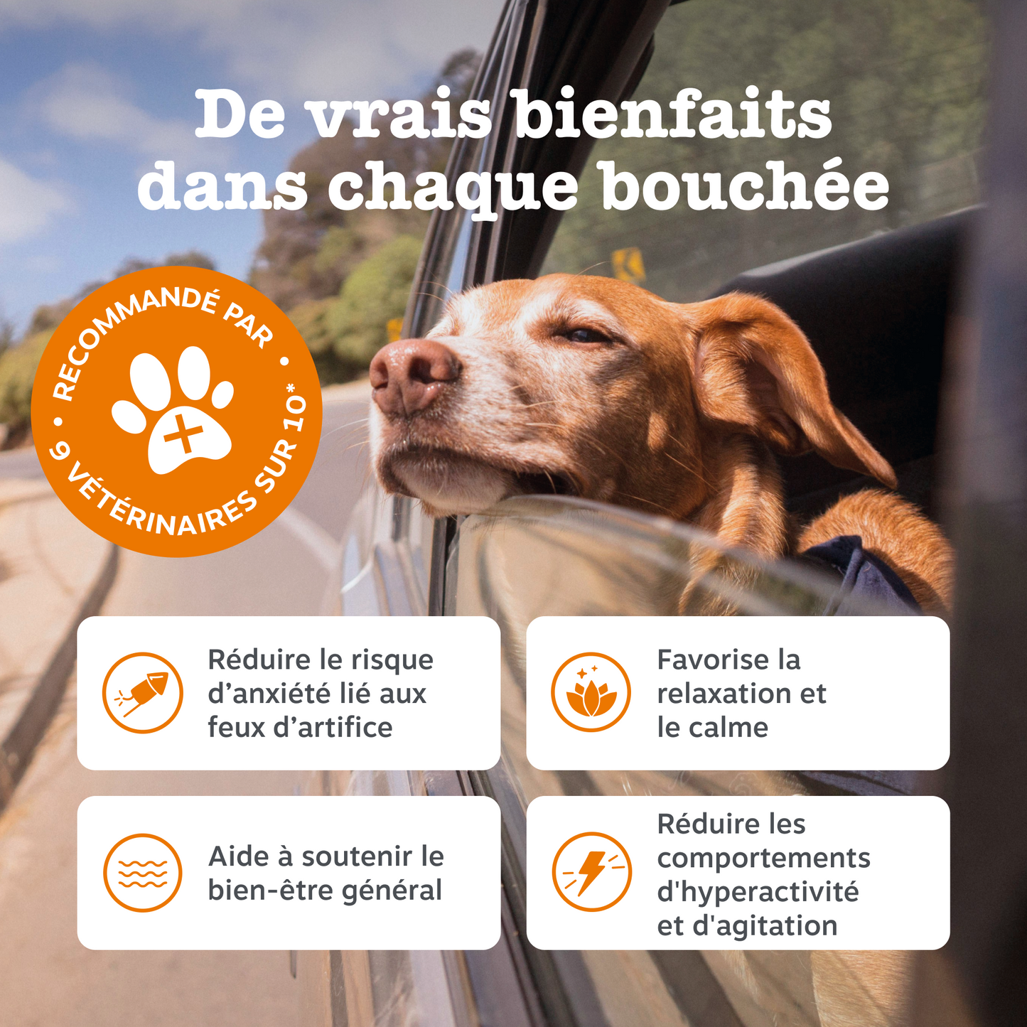 Calming Chews