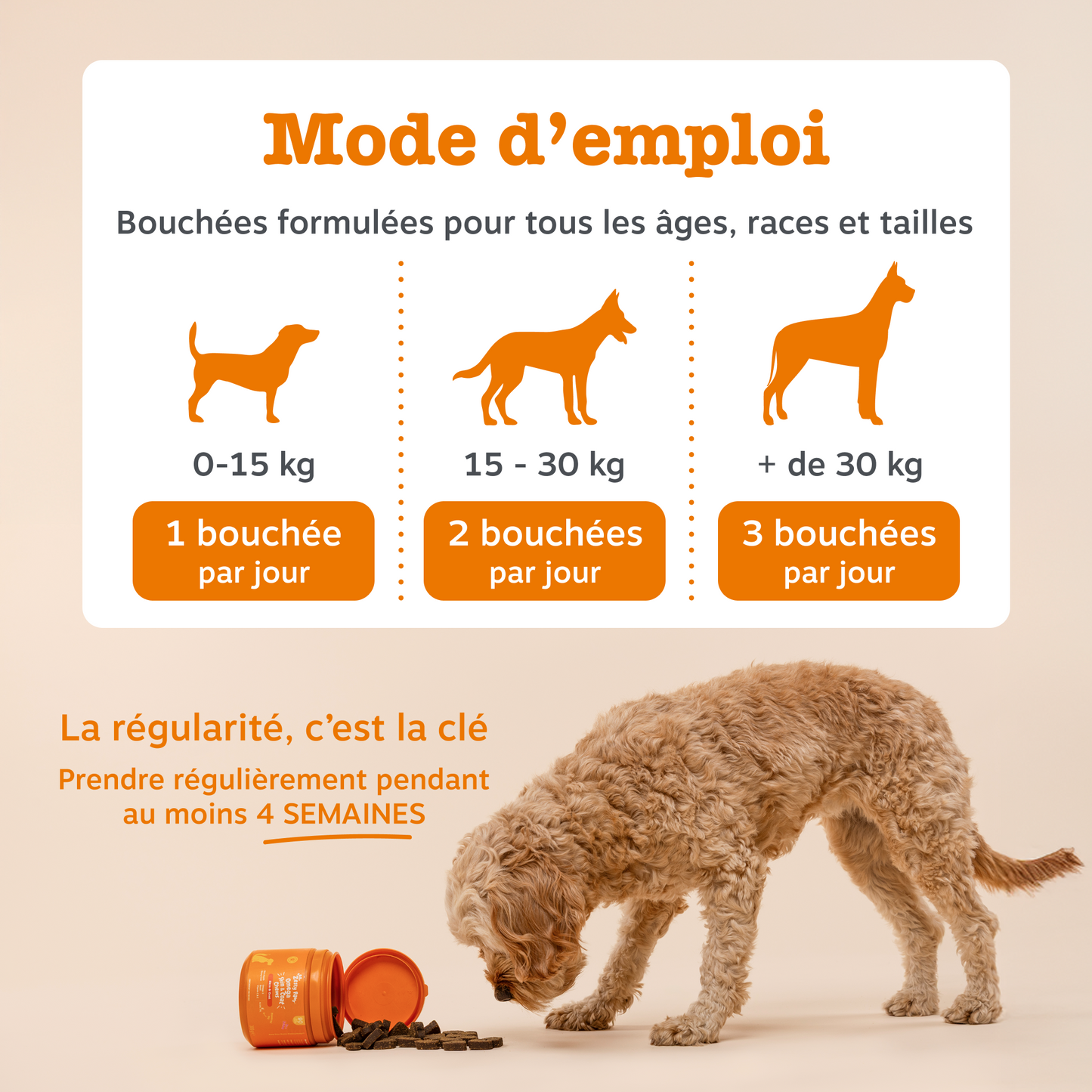 Hip & Joint Chews