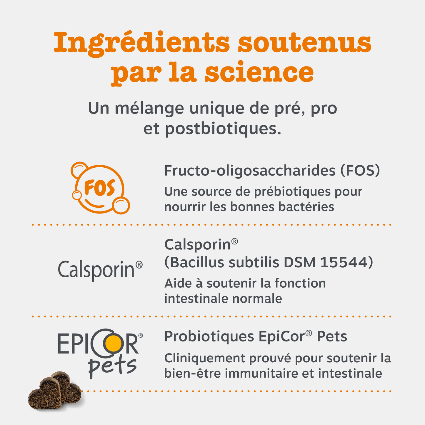 Probiotic Chews