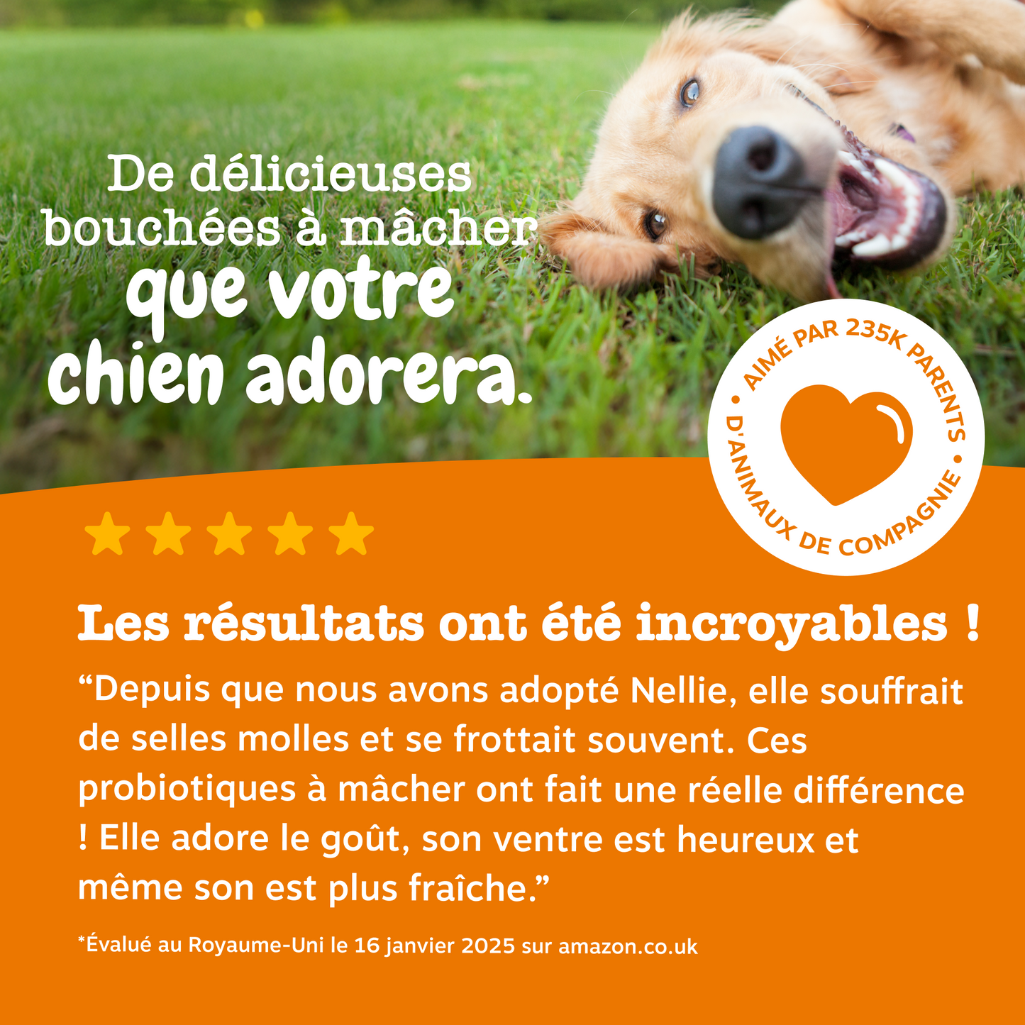 Probiotic Chews