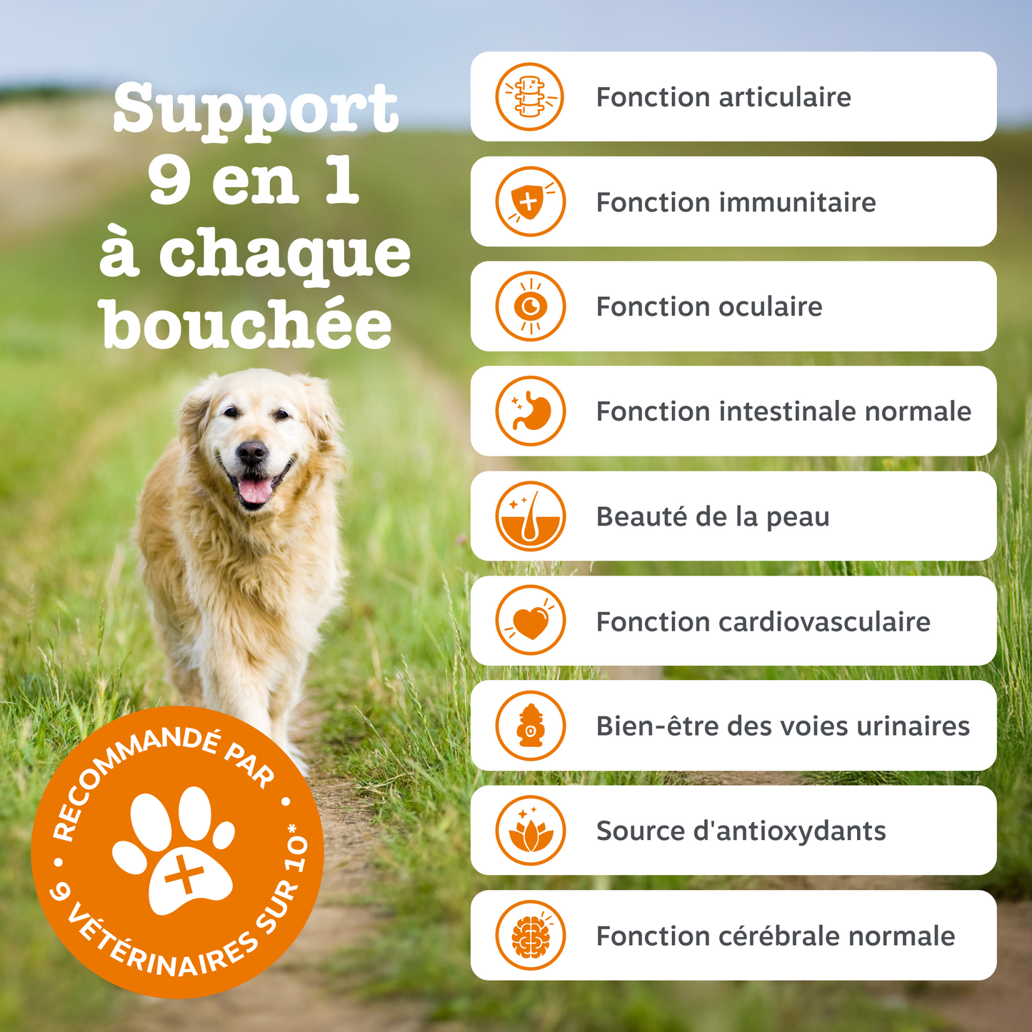 Senior Advanced 9-in-1 Chews