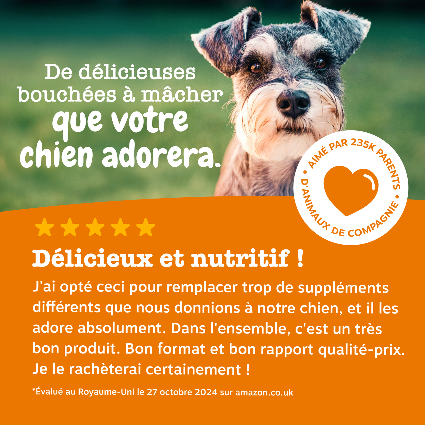 Senior Advanced 9-in-1 Chews