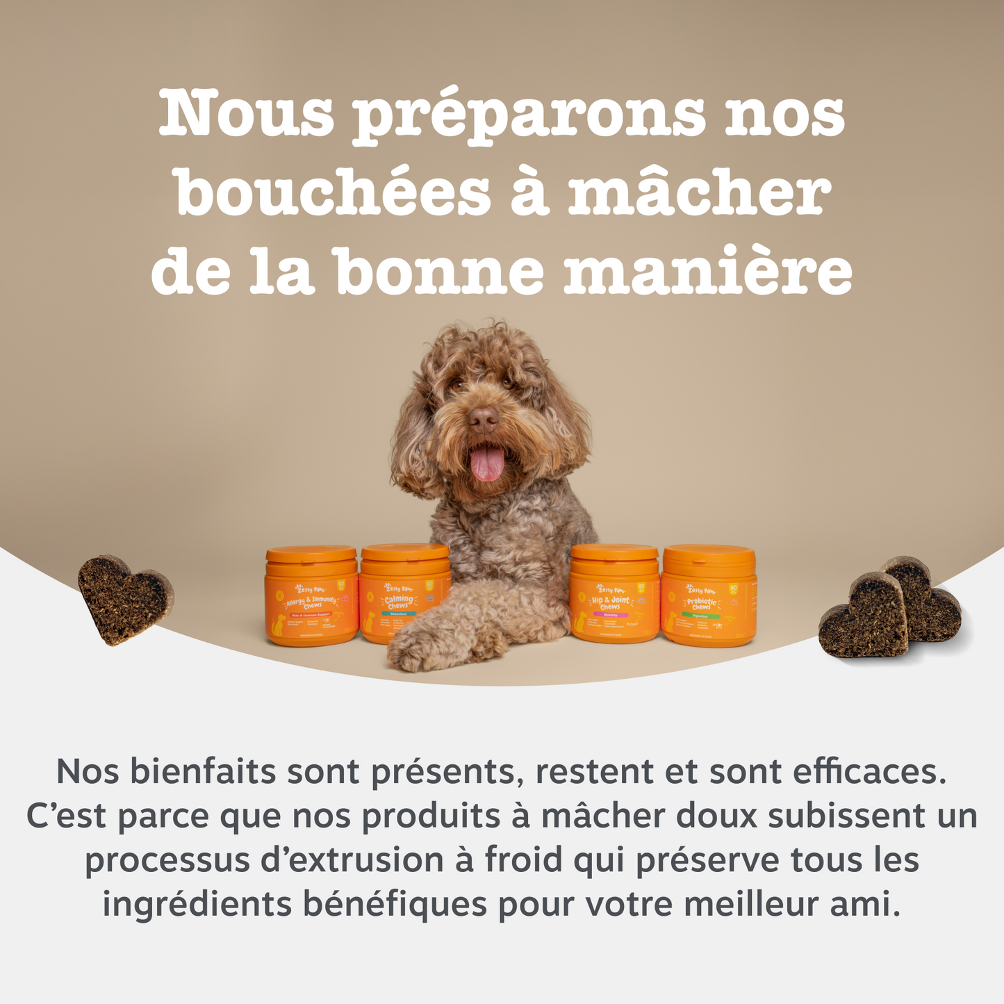 Senior Advanced 9-in-1 Chews