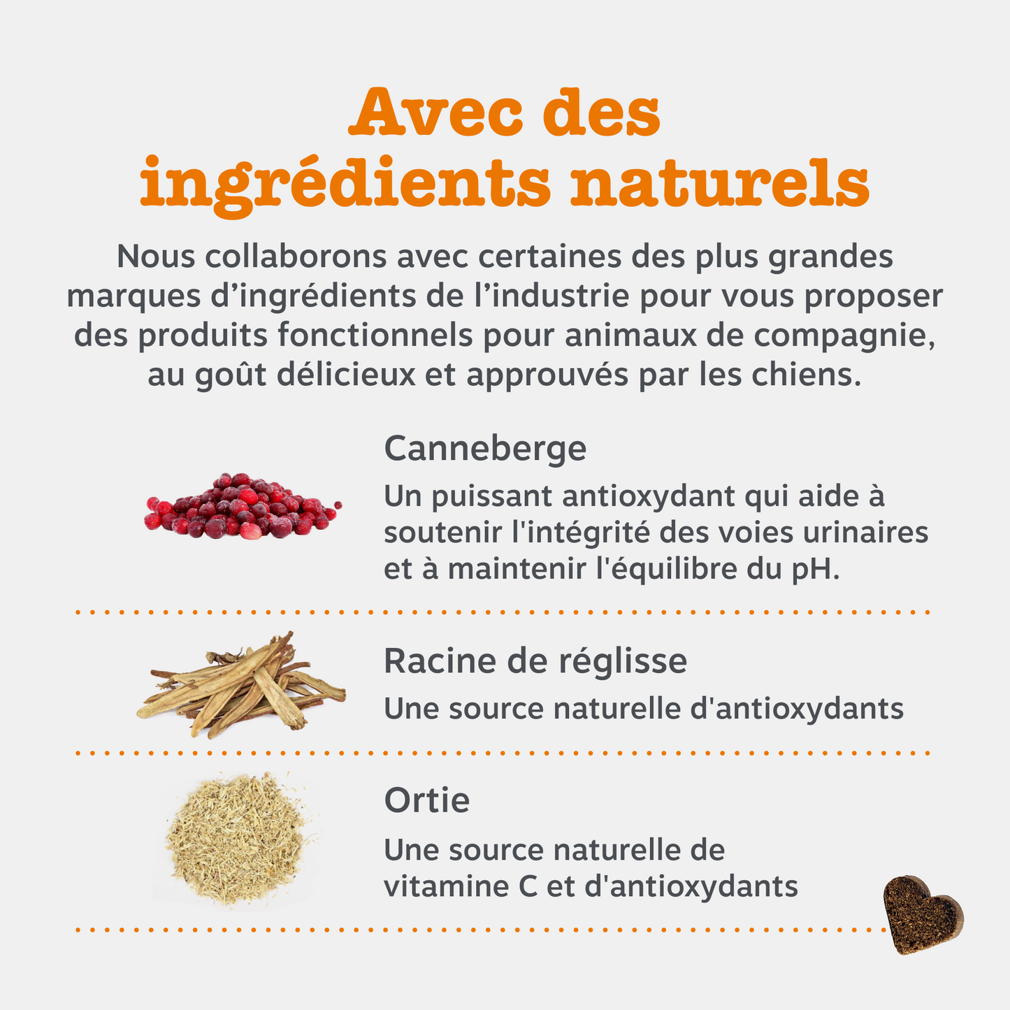 Cranberry Urinary Chews