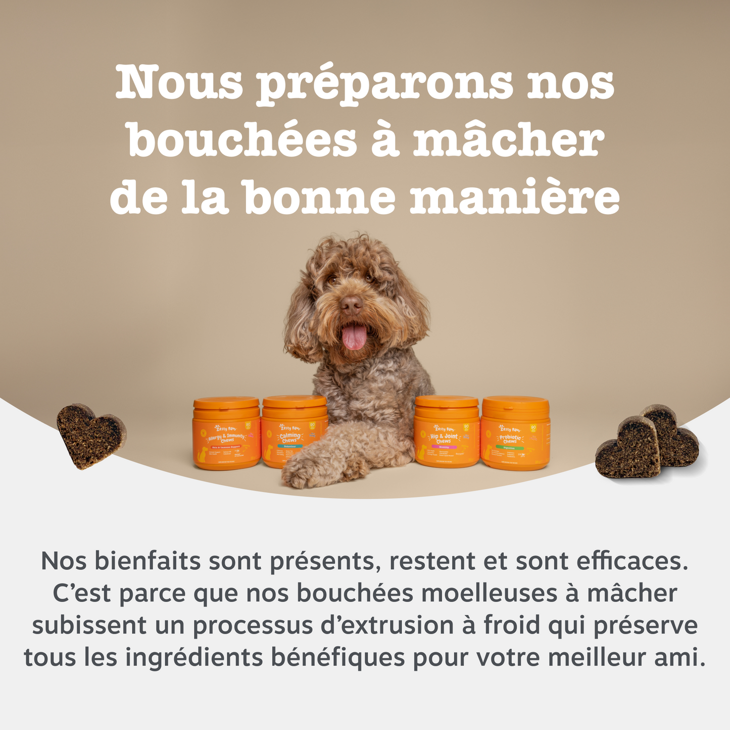 Hip & Joint - Mobilité Chews