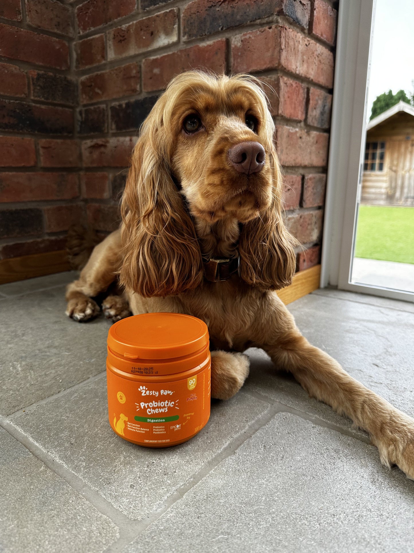 Zesty Paws Probiotic Chews