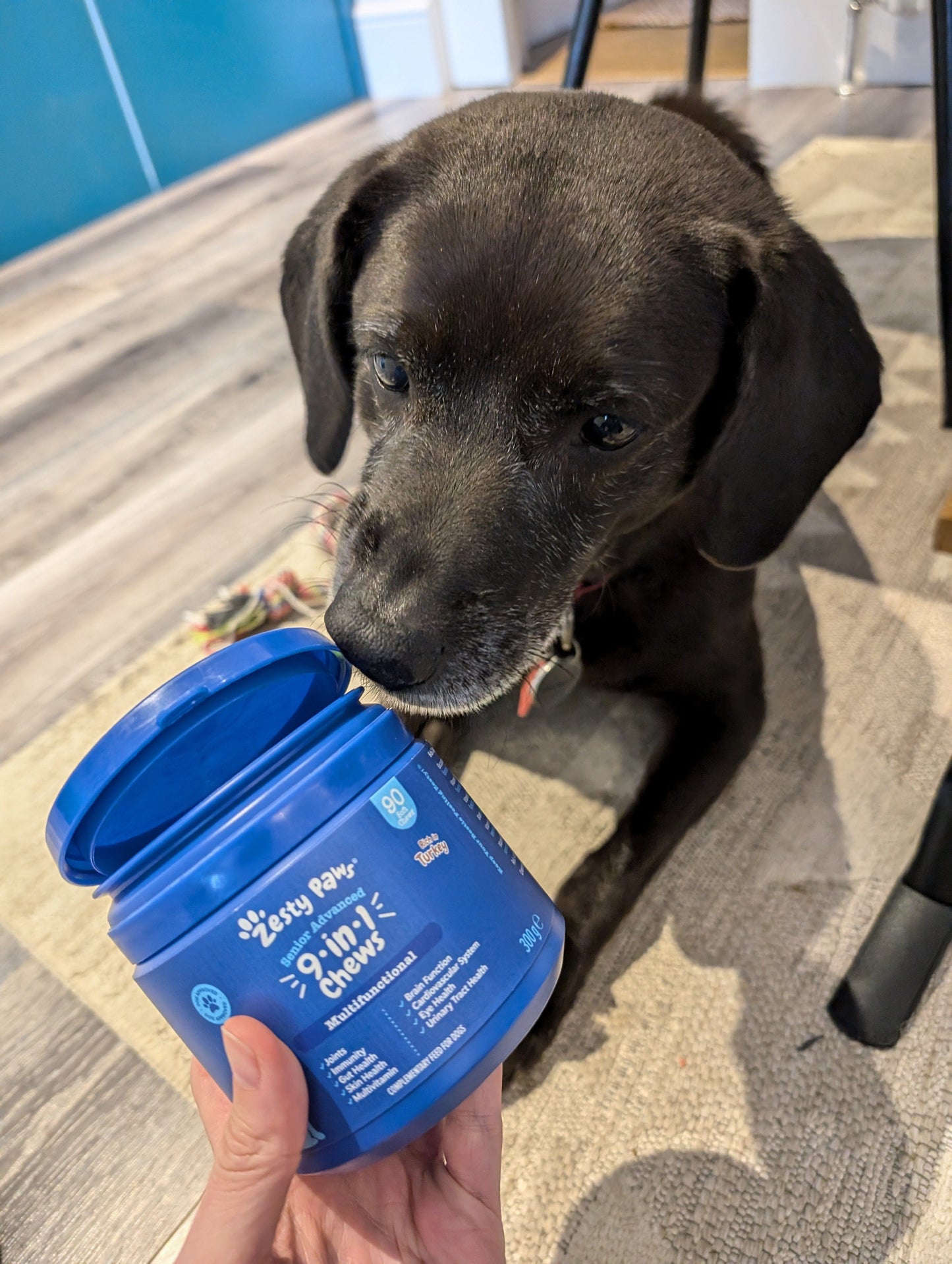 Zesty Paws Senior Advanced 9-in-1 Chews