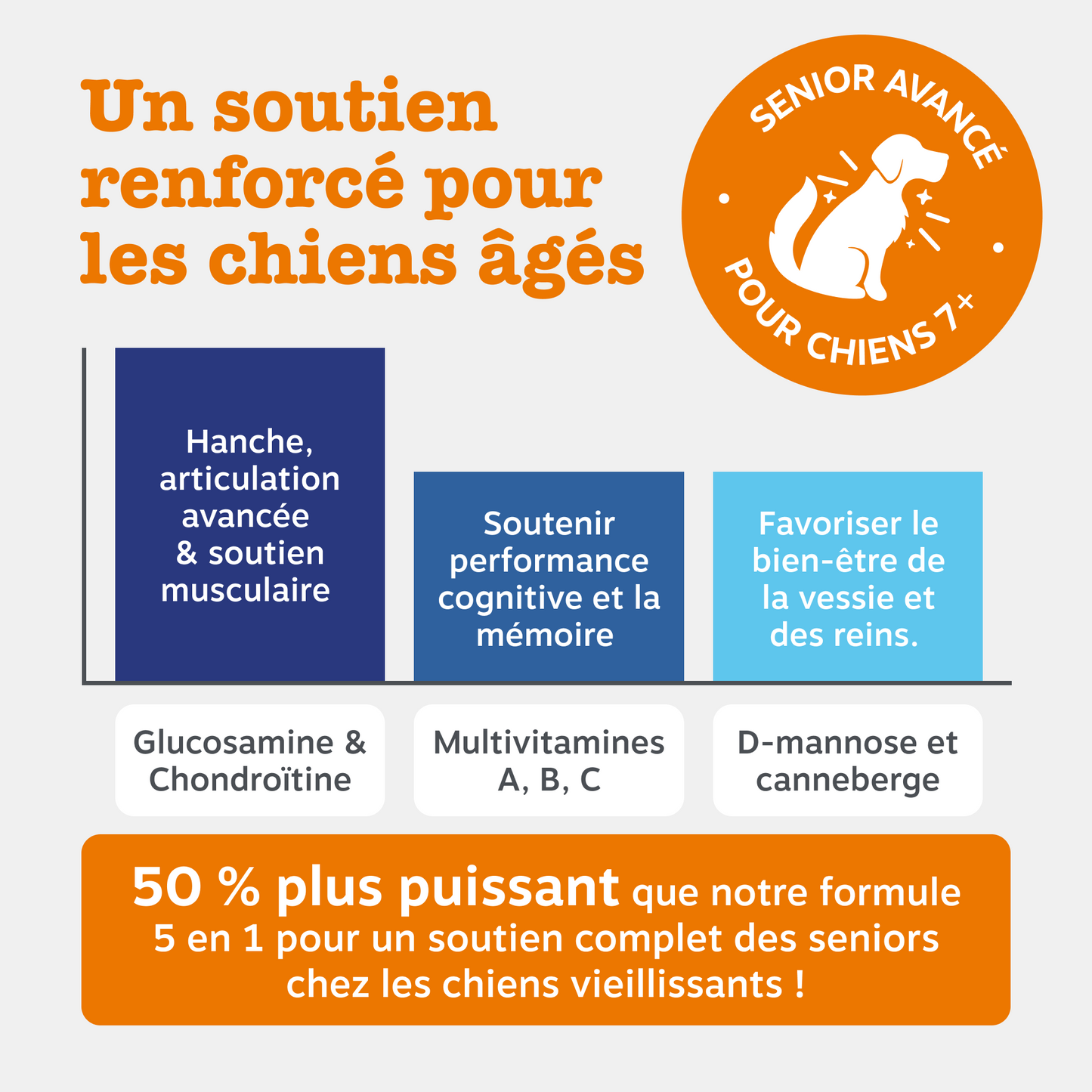 Senior Advanced 9-in-1 Chews