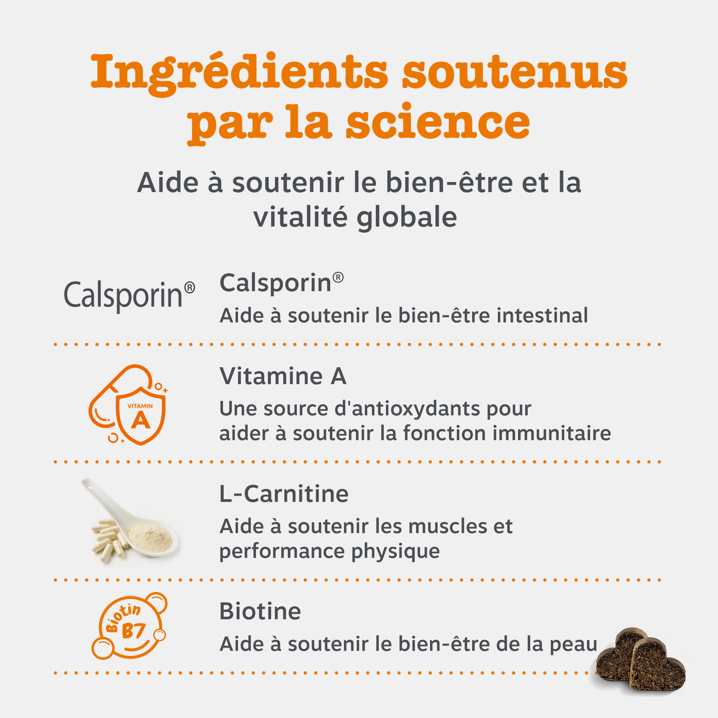 Senior Advanced 9-in-1 Chews