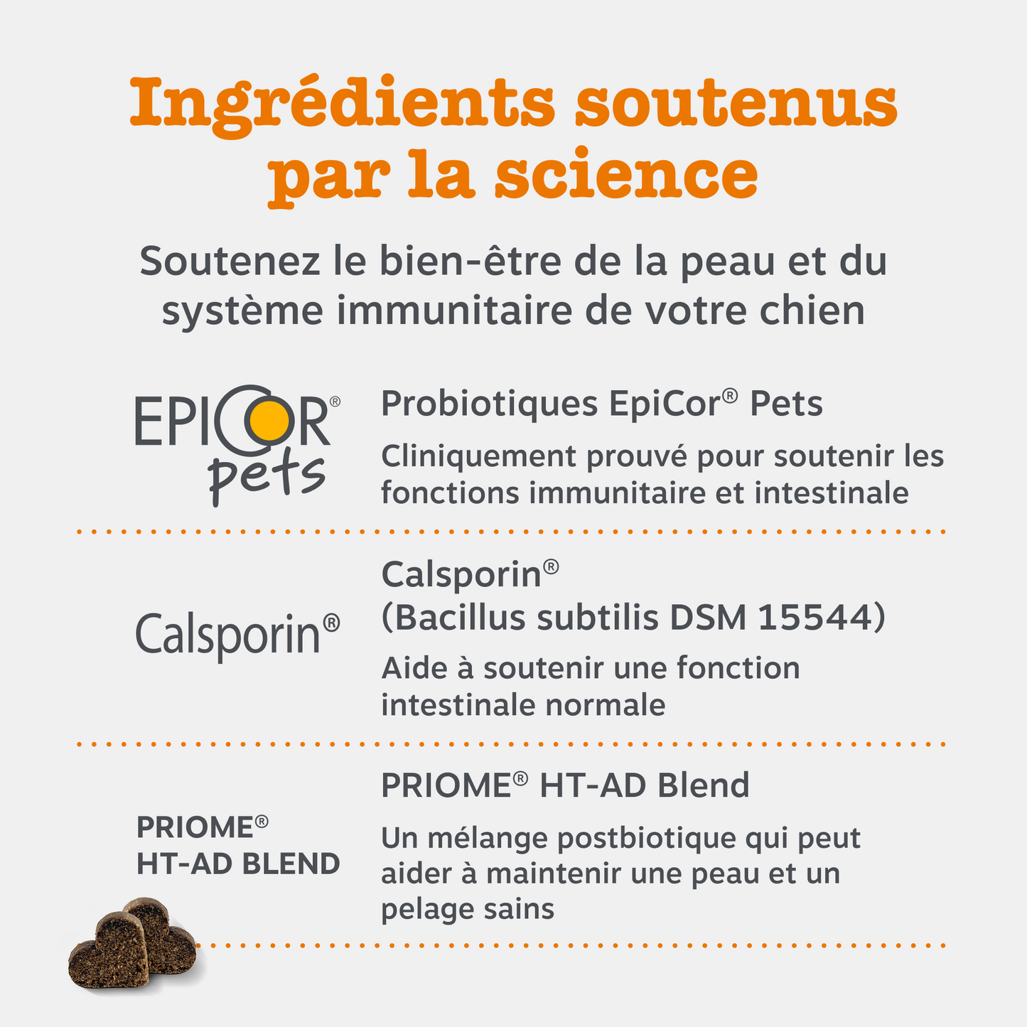 Senior Advanced Allergy & Immunity Chews