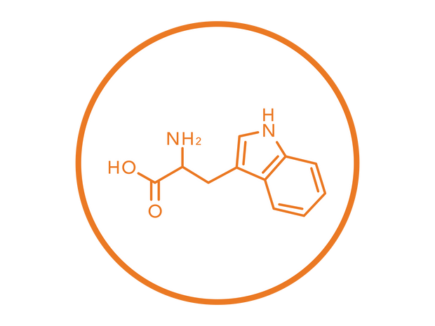 L-tryptophan 