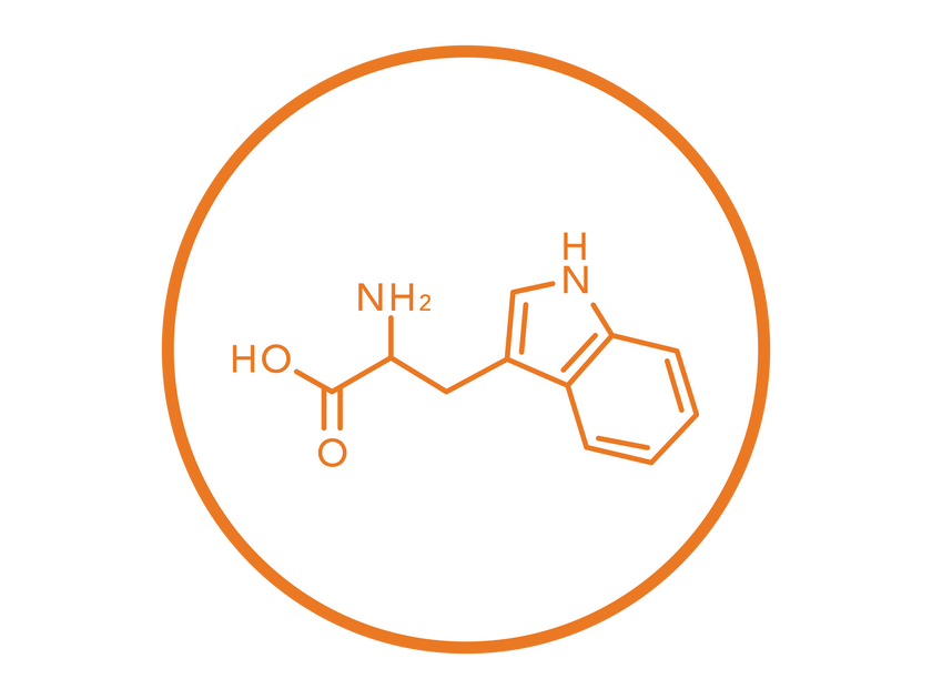 L-tryptophan 
