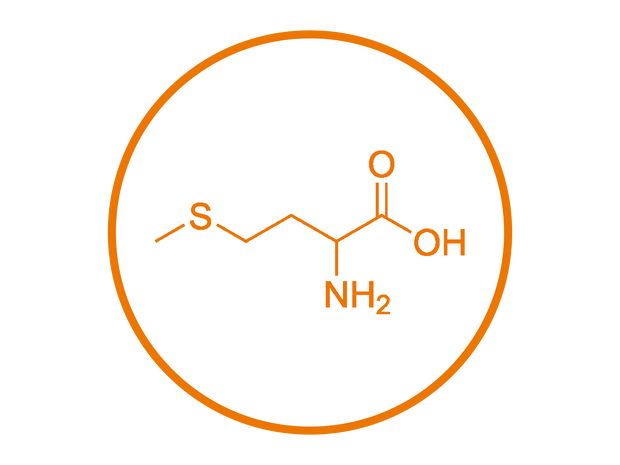 DL-Methionine