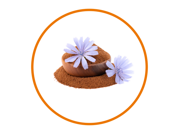 Inulin