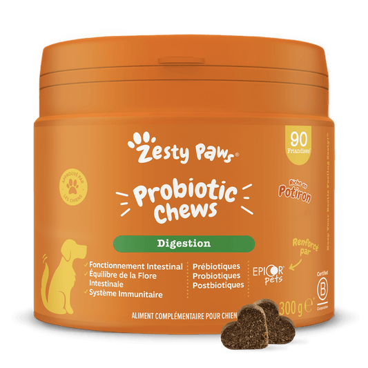 Zesty Paws Probiotic Chews - Pumpkin - 90 Chews